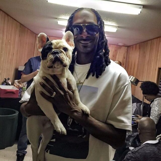 Snoop Dogg Holding Frenchie