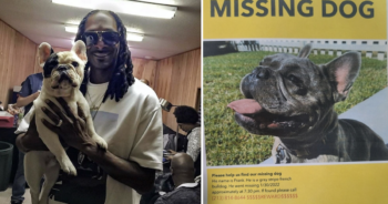 Snoop Dogg missing Frenchie