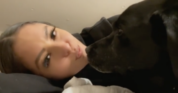 Vanessa Bryant kissing dog