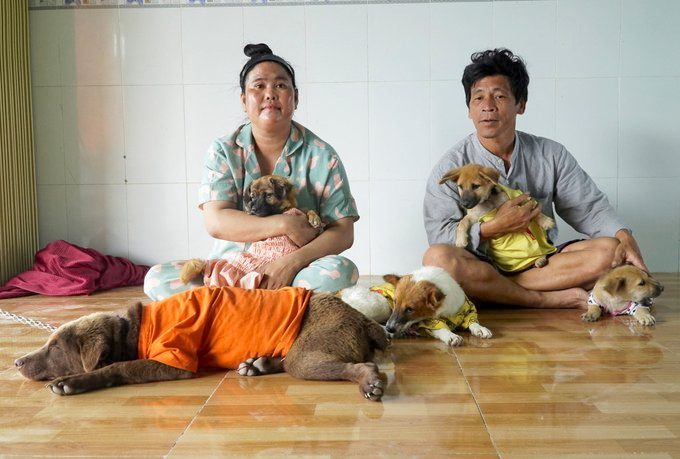 Vietnam couple saves dogs