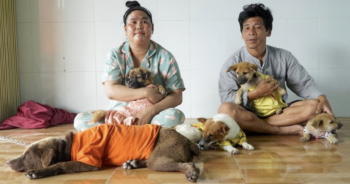 Vietnam couple saves dogs