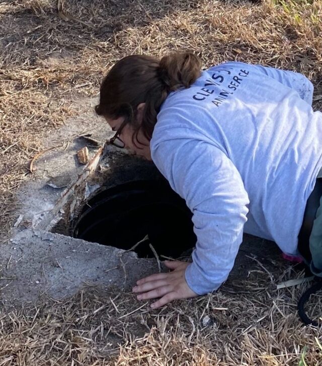 Woman saving dog in storm drain