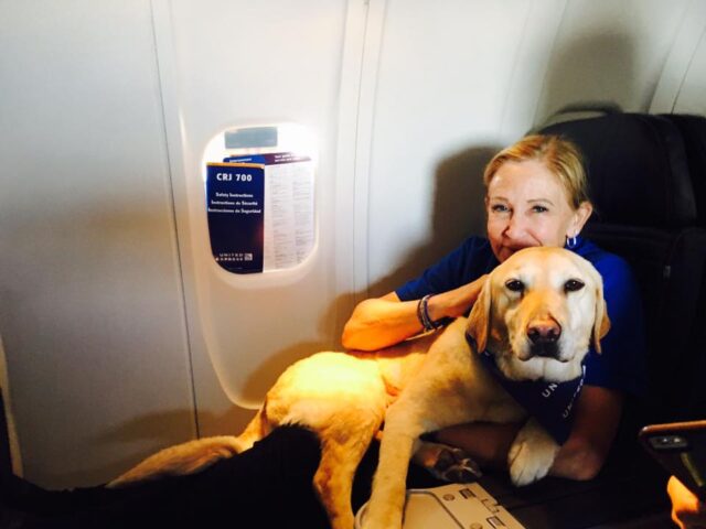 Flight Attendant With Dog