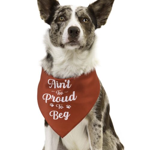 'Ain't Too Proud To Beg' - Dog Bandana