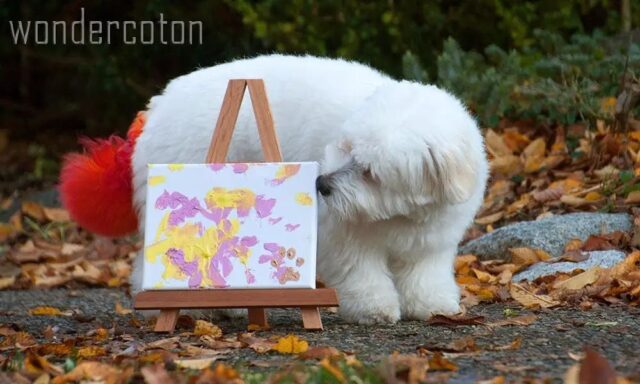 Blind dog paints picture