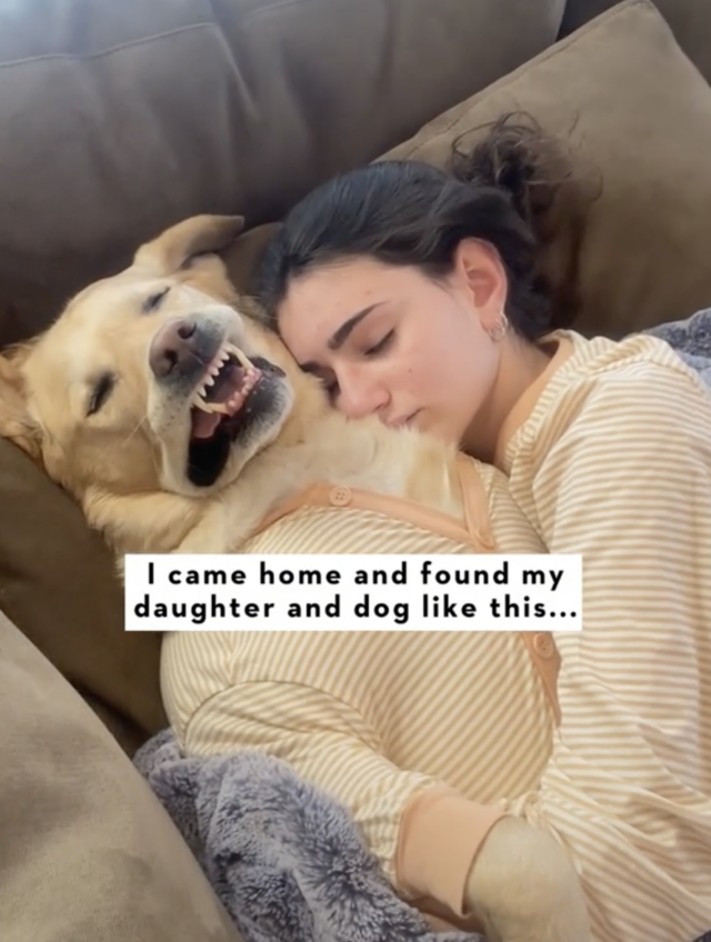Dog and teenager cuddling
