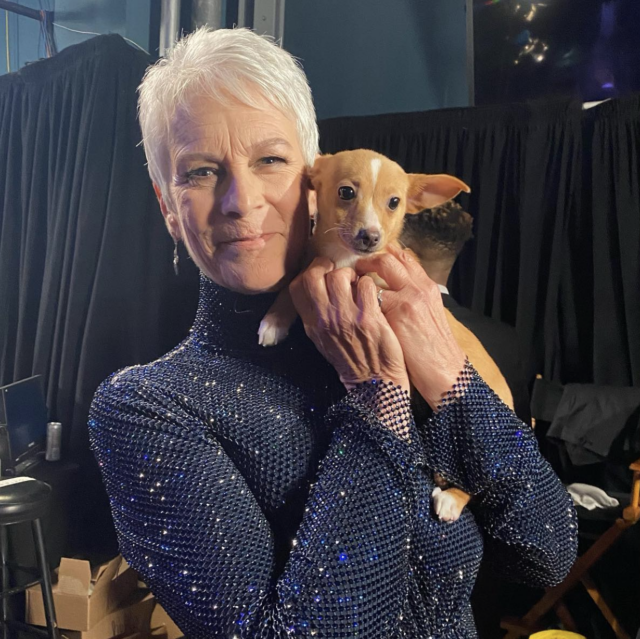 Jamie Lee Curtis holding rescue dog
