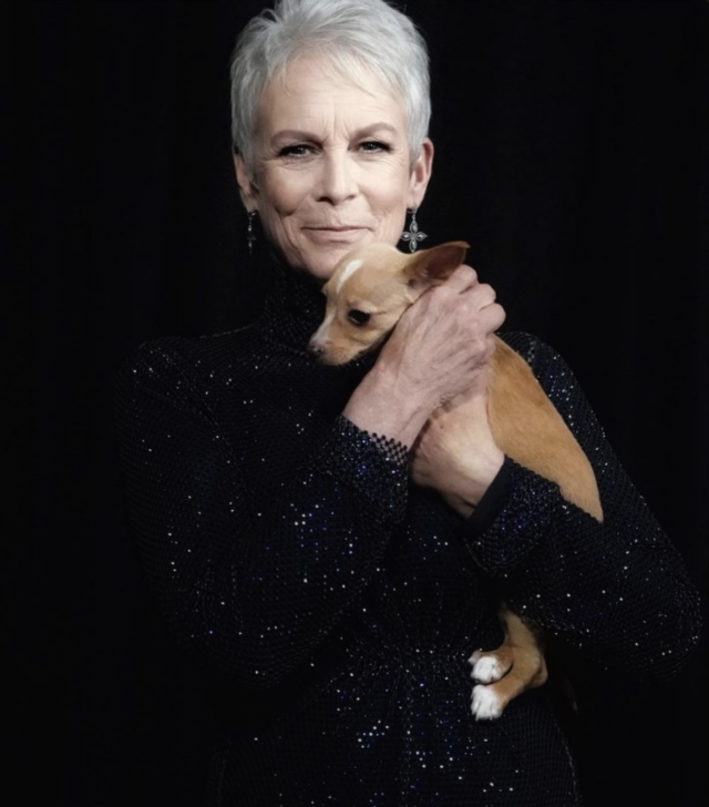 Jamie Lee Curtis honors Betty White