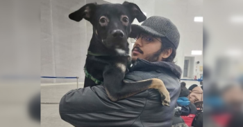 Man and dog escape Ukraine