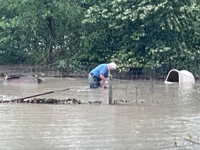 Shelter director saves dog from flooding