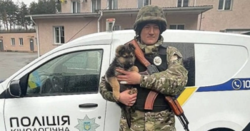 Puppies protect Ukraine