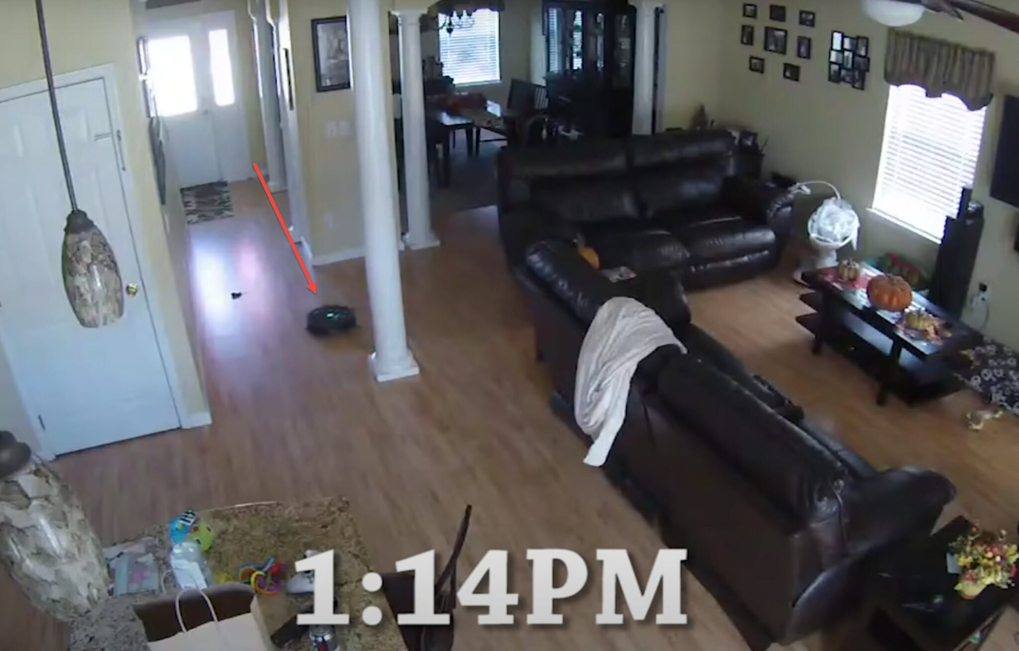 Roomba Tried Cleansing Canine Poop However Makes An 'EpicMess' And Dad