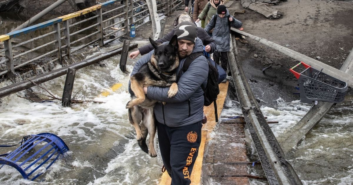 ukraine pets and rescuers