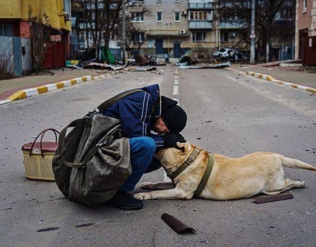 Ukraine pets and rescuers