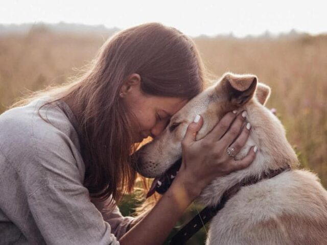 Ukrainian woman saves dogs