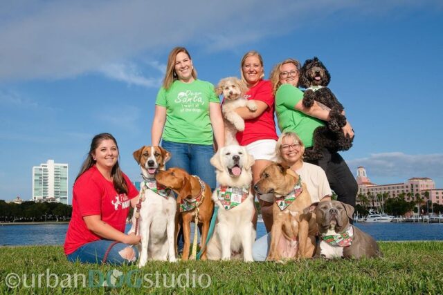 Women running dog mother group