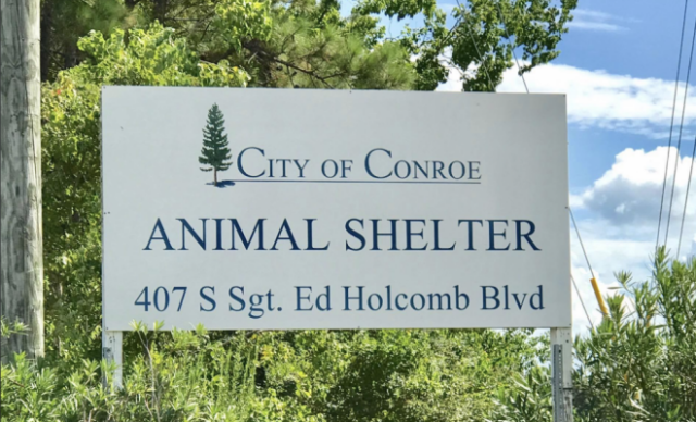 Conroe animal shelter