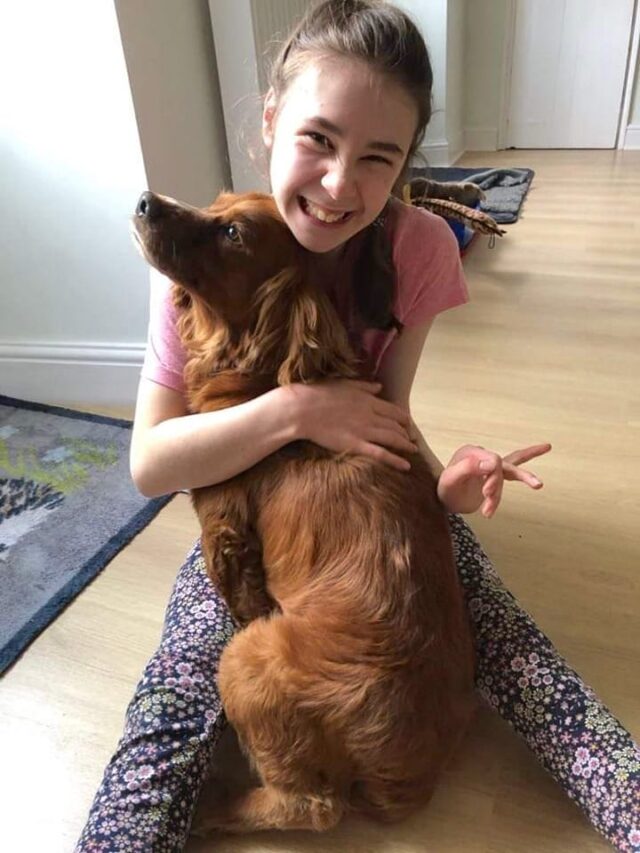 Dog and girl reunited