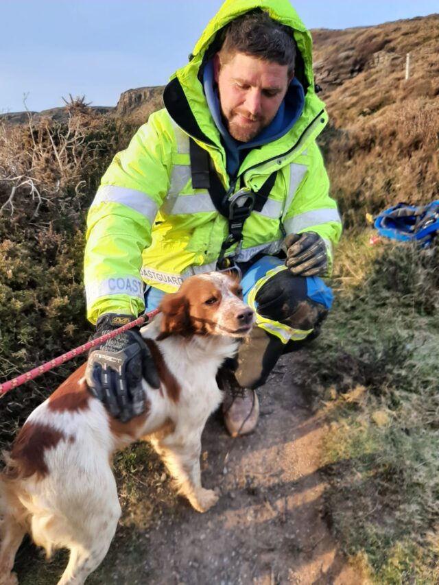 Dog rescued from fissure