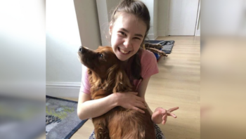 Dog stolen from disabled girl