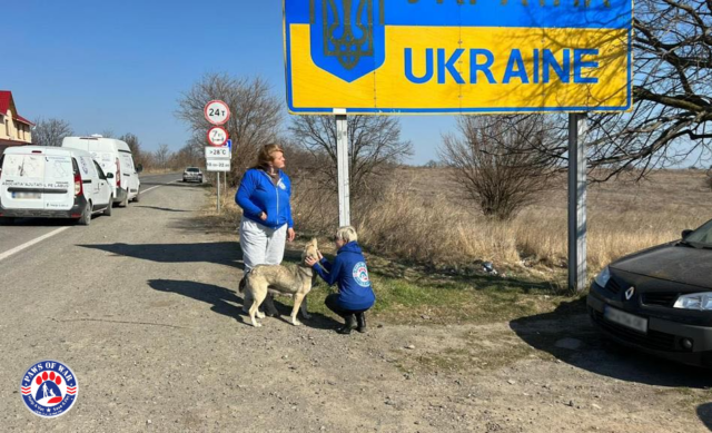 Helping Ukraine Dogs