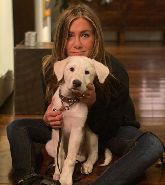 Jennifer Aniston and puppy