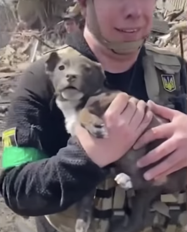Officer holding tiny puppy