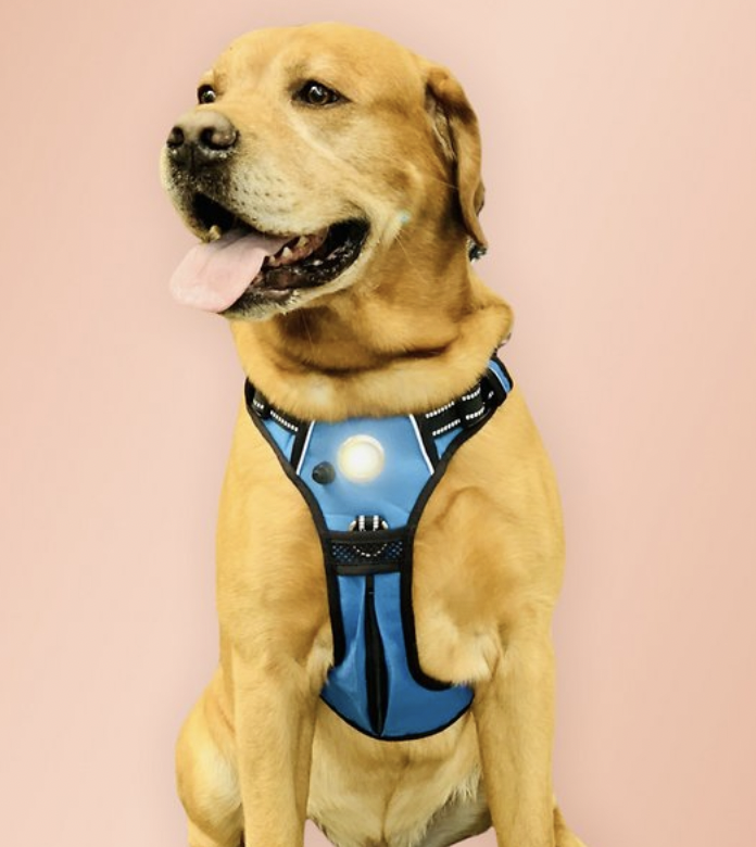 Headlight Harness LED Light Dog Harness