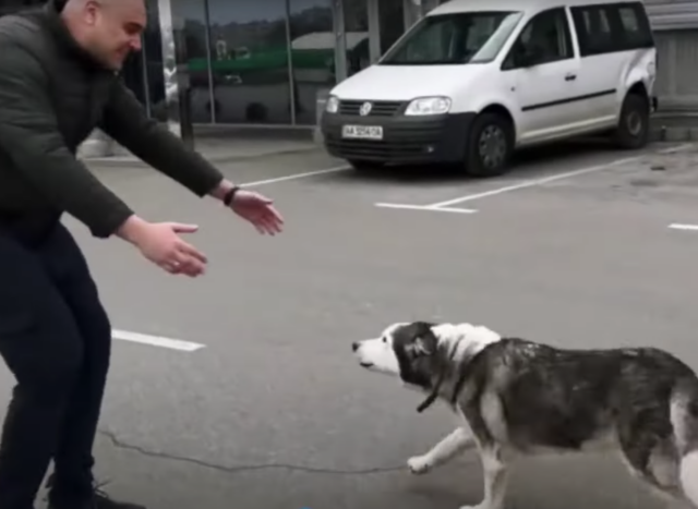 Ukrainian Man Reunites with Dog