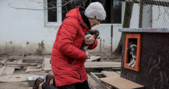 Ukrainian woman saves shelter