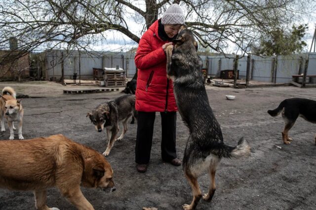 Ukrainian woman saving dogs