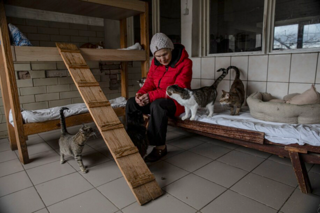 Ukrainian woman with shelter cats