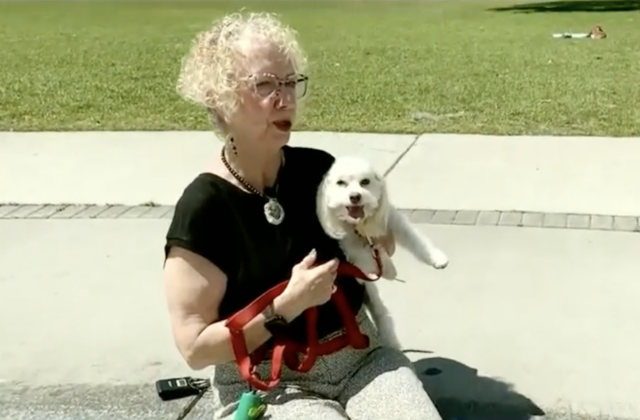 Woman holding lost dog
