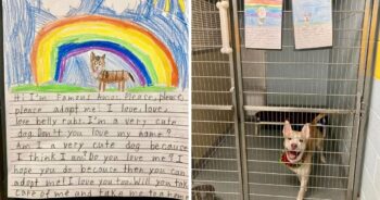 kids write stories for shelter dogs