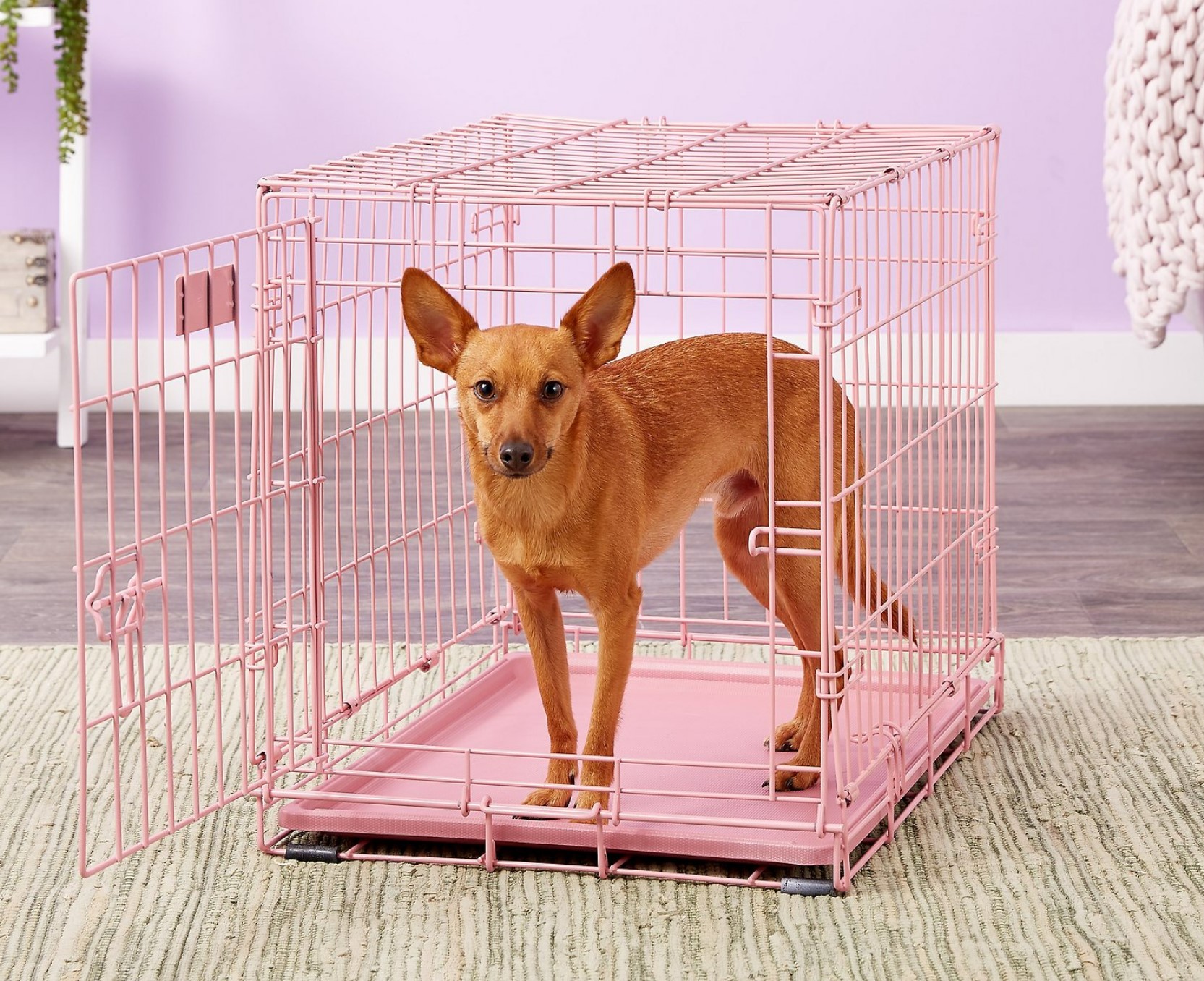 MidWest iCrate Pink Wire Dog Crate