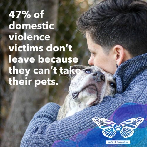 Donate to Help Domestic Violence Victims and Pets Escape Abuse - Safe & Together