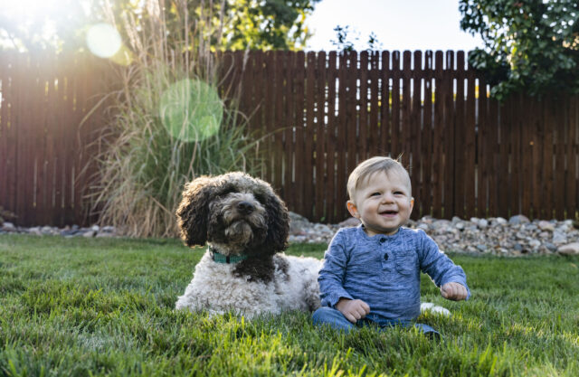 Dog and kid playing in grass