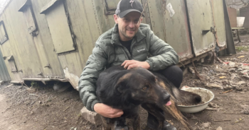 Dog sled racer saves dogs