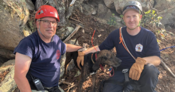 Firefighters save dog from cave