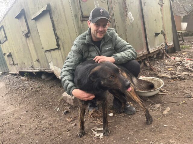 Man rescuing dogs in Ukraine