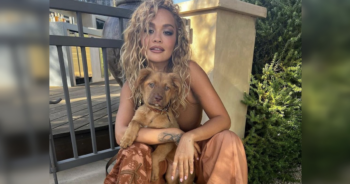 Rita Ora Adopts Puppy