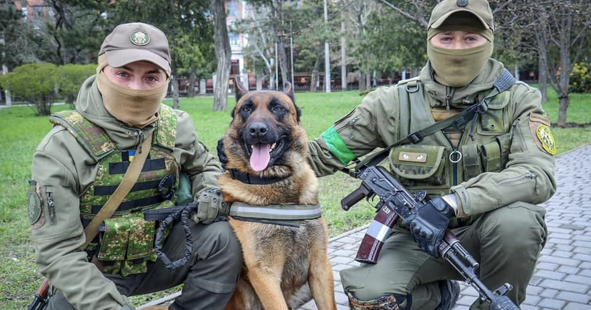 Russian dog joins Ukraine troops