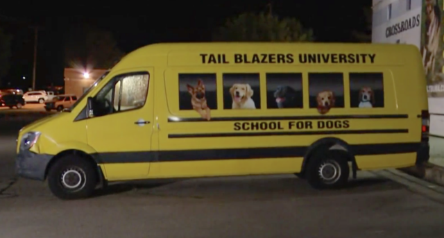Stolen dog daycare van