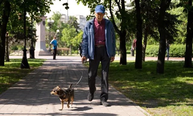 Ukraine man walking dog