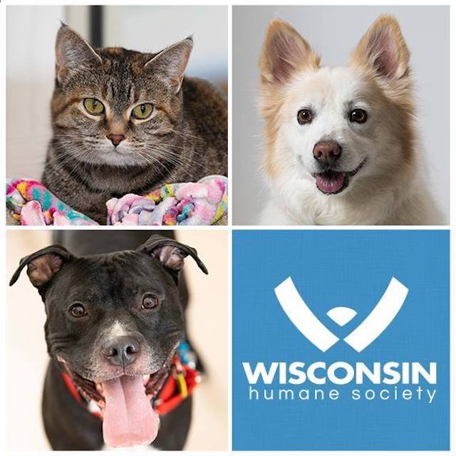 Wisconsin Humane Society