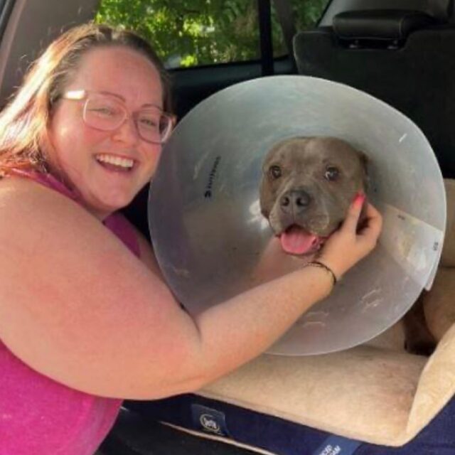 Woman and dog after surgery