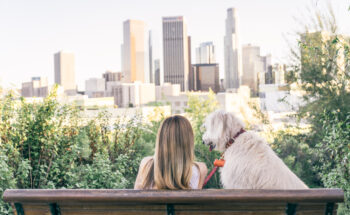 Los Angeles Pet Insurance