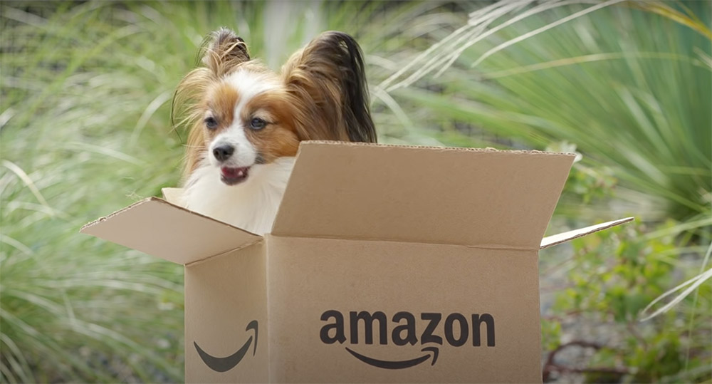 Amazon has a secret pet section where you don't have to pay full price. Photo Credit: Amazon/Youtube 