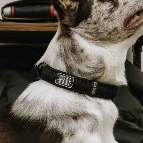 HERO DOG Heavy Duty Paracord Collars