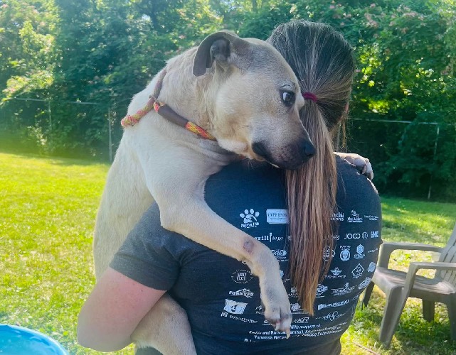 Rescue Pup hug